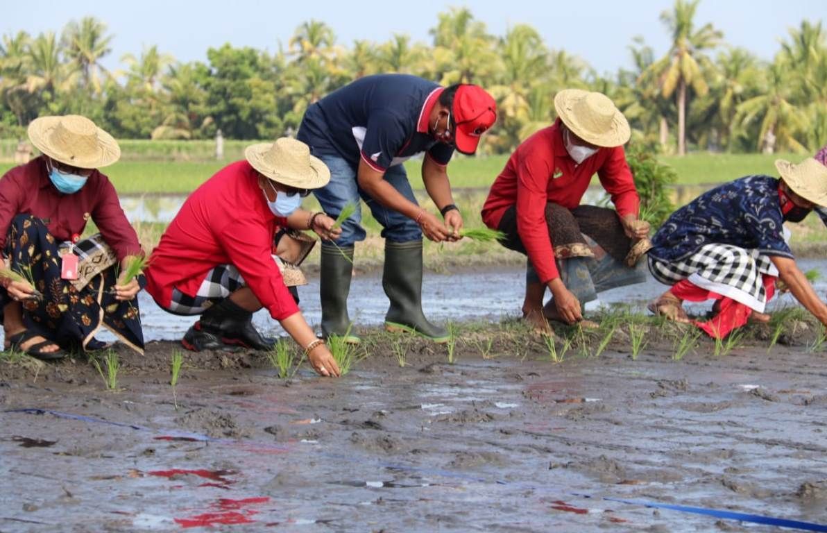 podiumnews.com-Bupati Tabanan Komitmen Memajukan Sektor Pertanian